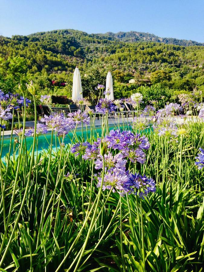 Busquera Soller